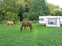 Pension en Camping Eagletrail (Ruitervakantie)